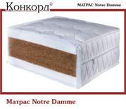 ������ �Notre Damme�